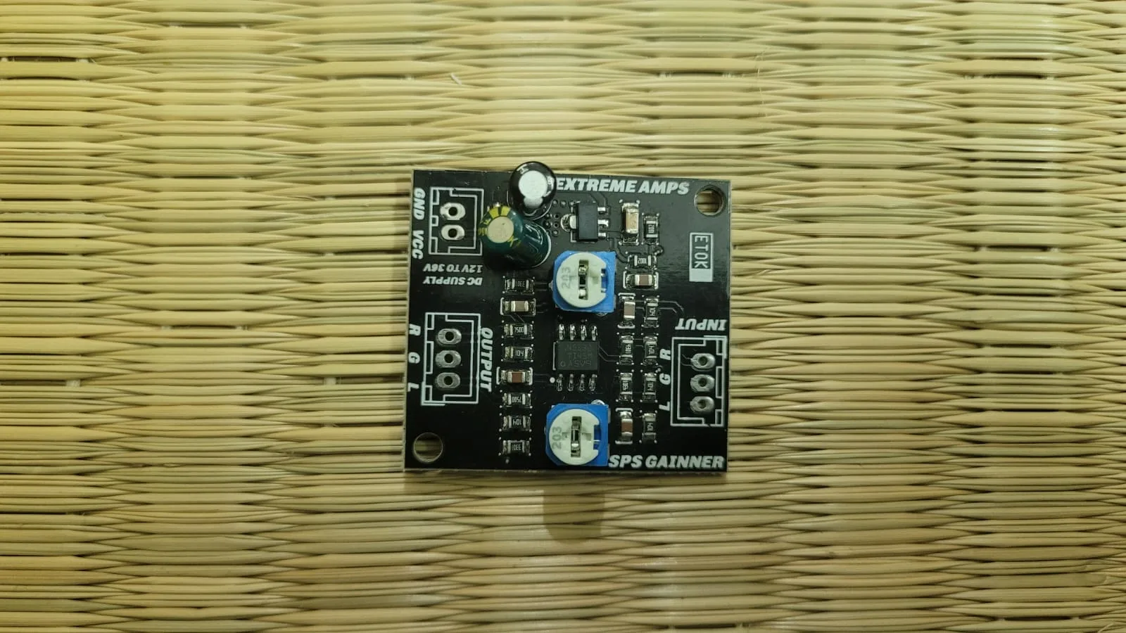Extreme Amps 2-Channel IC Type Audio Gainer