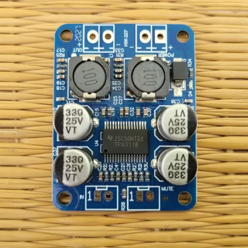TPA3118 Class-D 60W Mono Amplifier Board