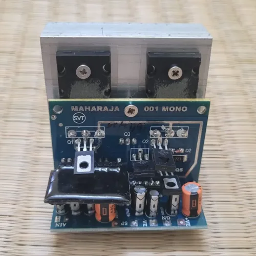 Maharaja 2-Transistor Compact Mono Amplifier Board for 1313 Size Car Stereo Cabinet Amplifiers