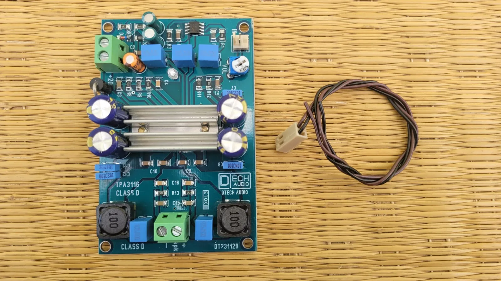 TPA3116D2 Class-D 100W Mono Amplifier Board from D-Tech Audio