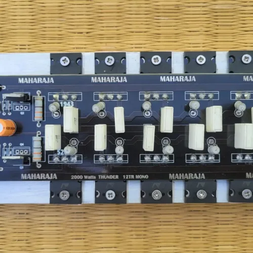 Maharaja 12-Transistor 600W Parallel Mono Amplifier Board
