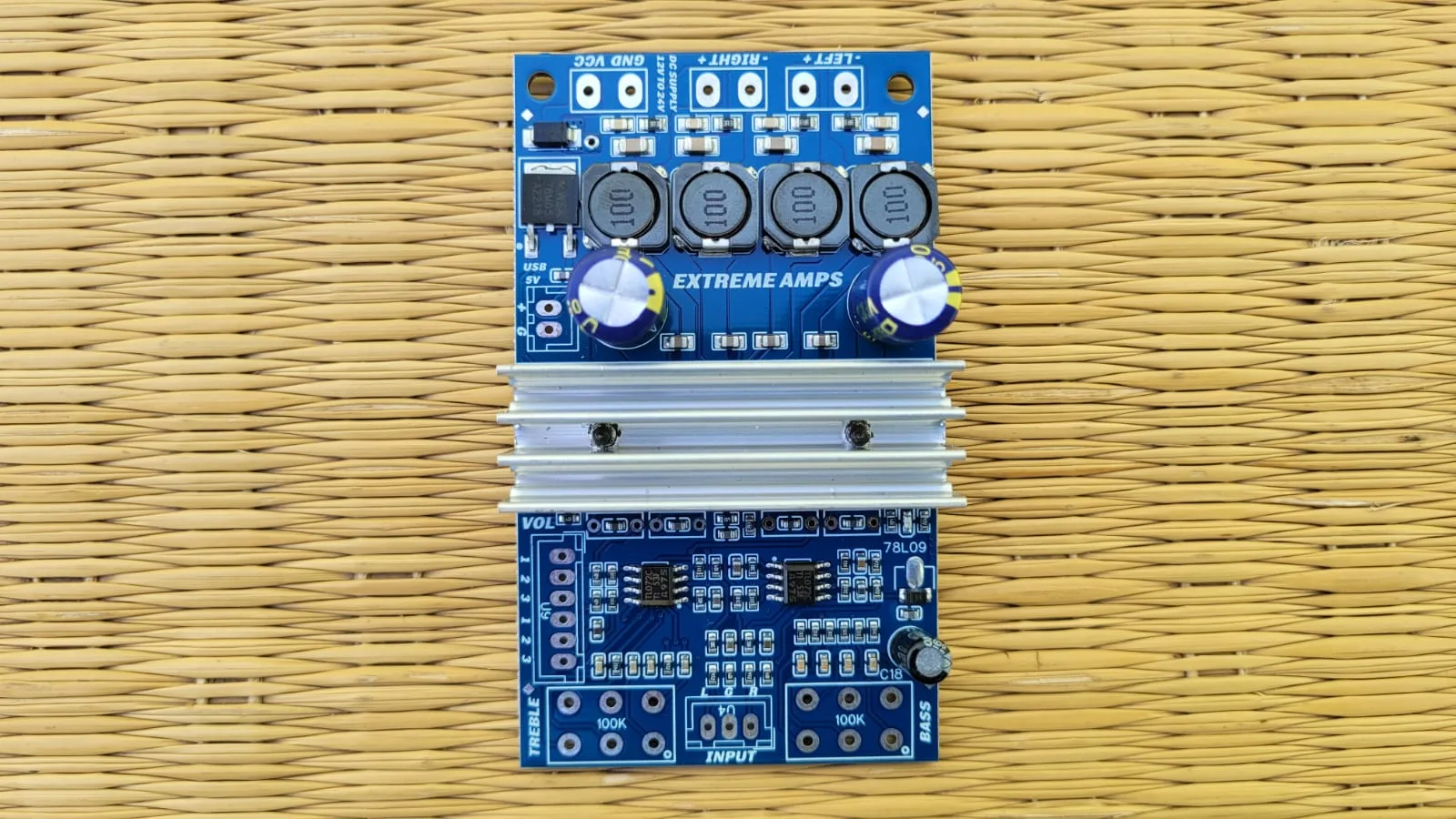 Extreme Amps 12V Class-D Stereo Amplifier with Bass and Treble