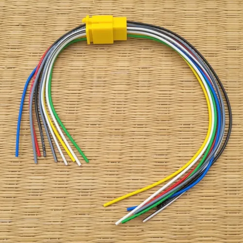 Maxwin 9-Way 0.5 Sq.mm Wago Jack Connector