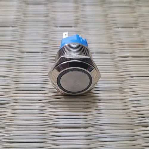 19mm Metal Switch for Audio Amplifier Power Supply with 230V Blue Colour LED Indicator