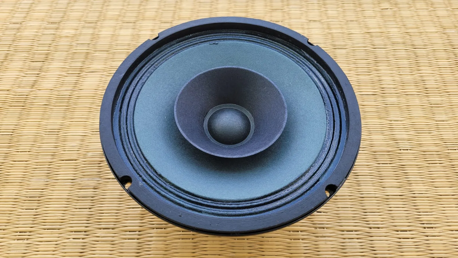 Sweton 6" 8-Ohms 40W Full Range Hi-Q Speaker