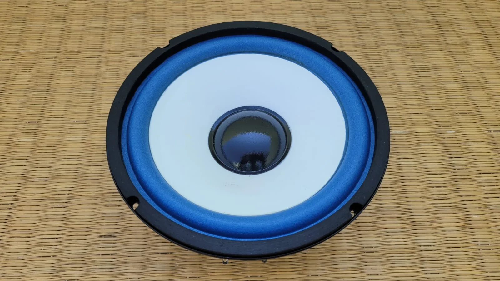 Sweton 6" 4-Ohms 40W Woofer