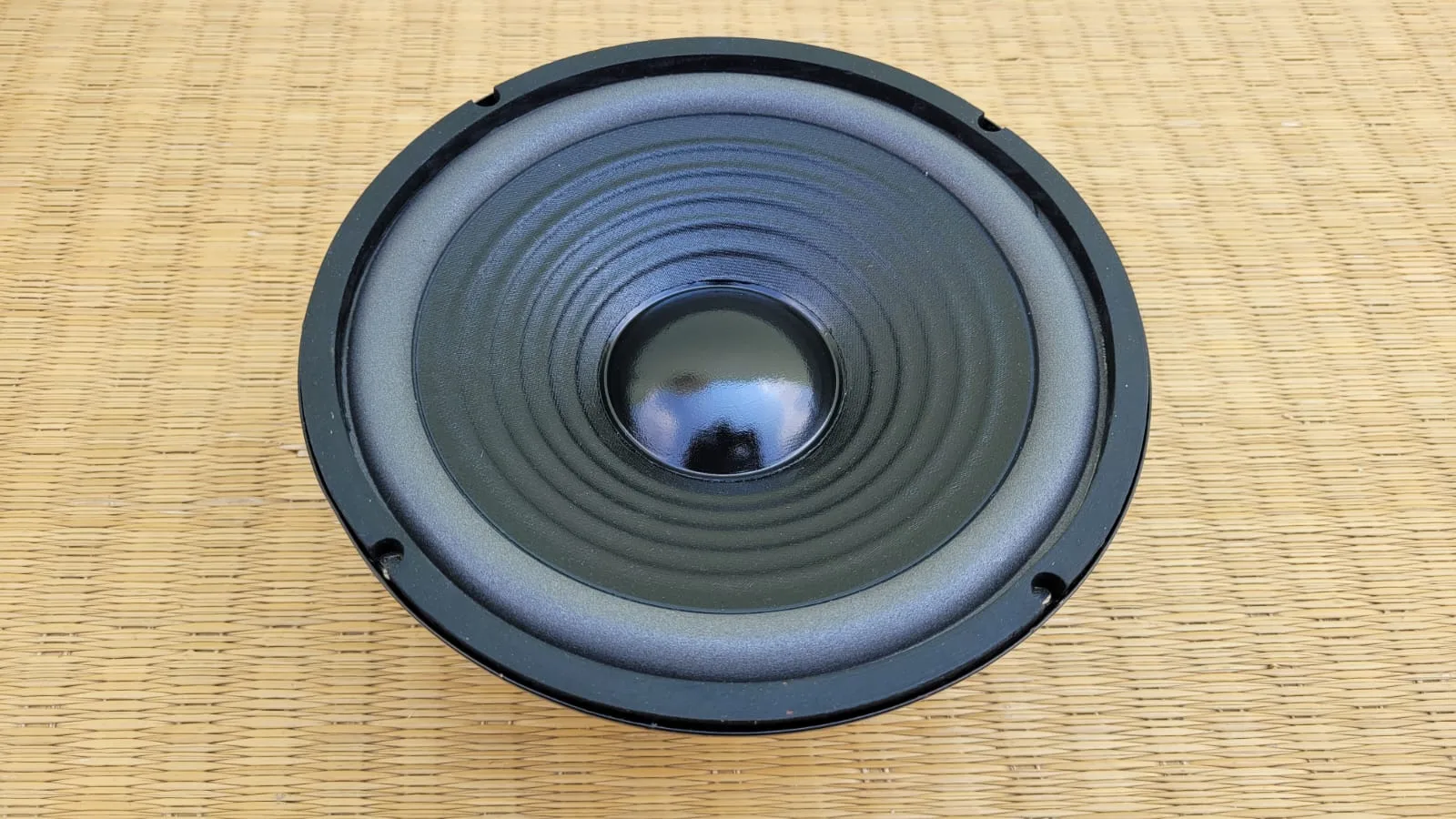 Sweton 8" 4-Ohms 60W Woofer