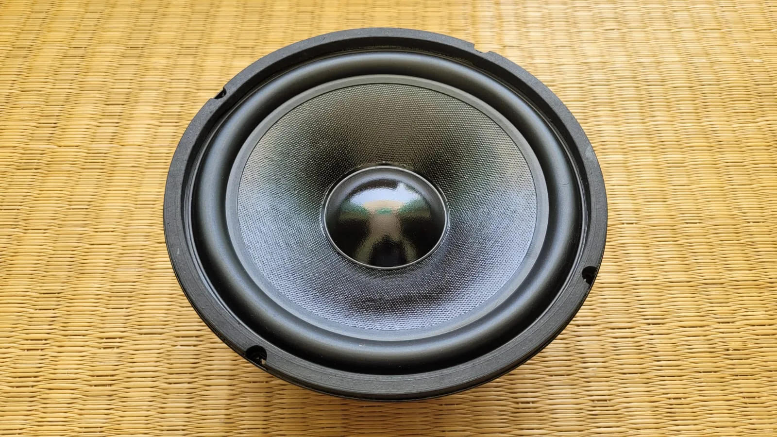 Sweton 8" 8-Ohms 100W Woofer