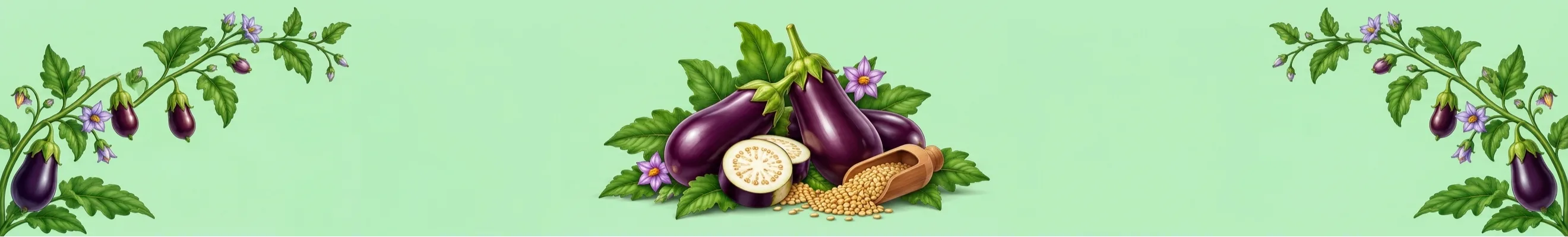கத்தரிக்காய் | Brinjal Banner
