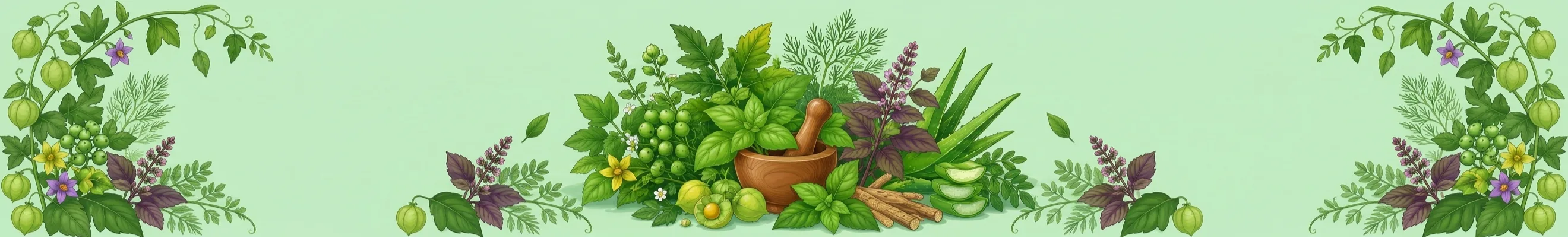 மூலிகைகள் Herbs Banner