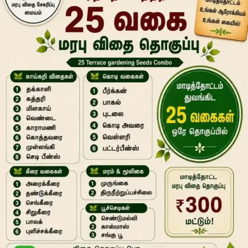 25 மாடித்தோட்டம் விதை தொகுப்பு (25 Terrace Combo)