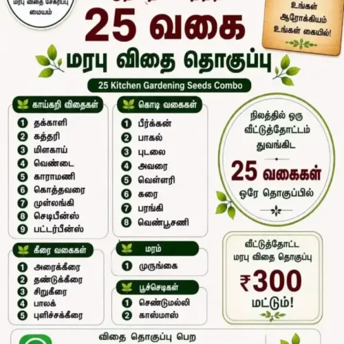 25 Aadipattam seeds combo (aadipattam-combo)