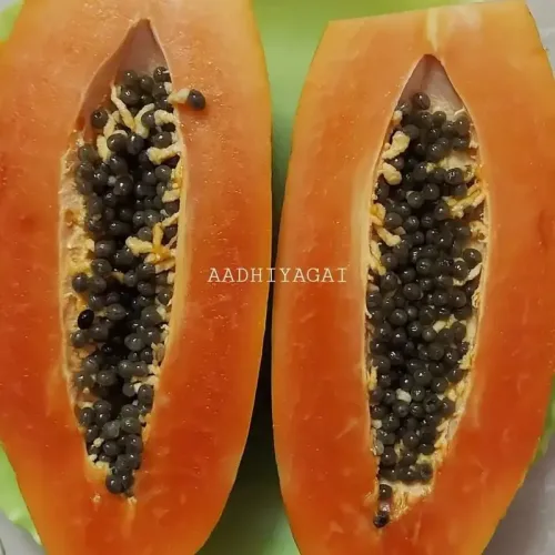 பப்பாளி Papaya (papaya)