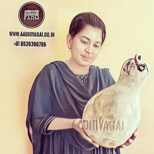 கும்ப சுரை Bottle Gourd Round medium (bottle-gourd-round-medium)