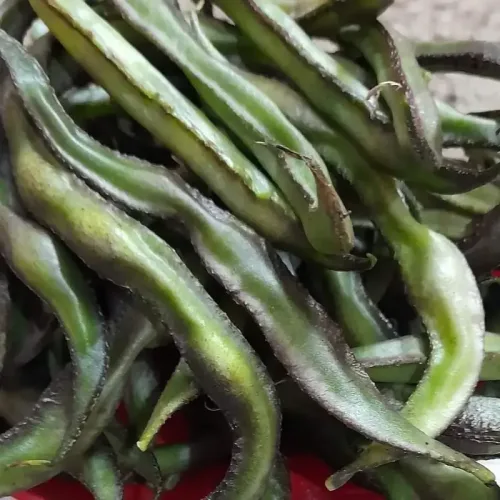 கோழி அவரை Lablab Lean Beans (lablab-lean-beans)
