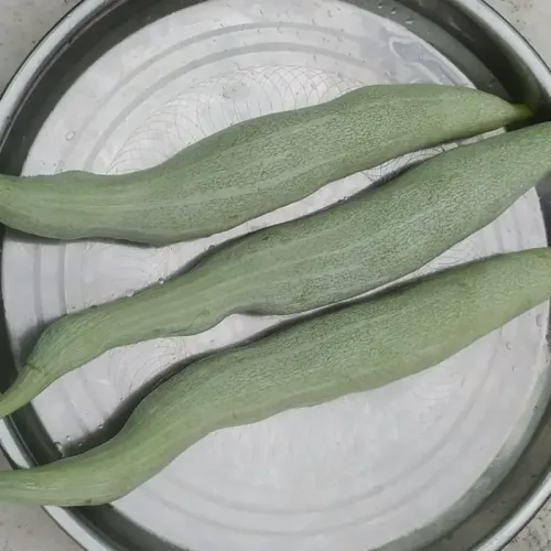 நீள புடலை Snake gourd Long (snake-gourd-long)