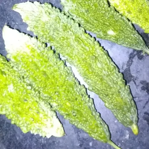 பாகல் Bitter Gourd Long Green (bitter-gourd-long-green)