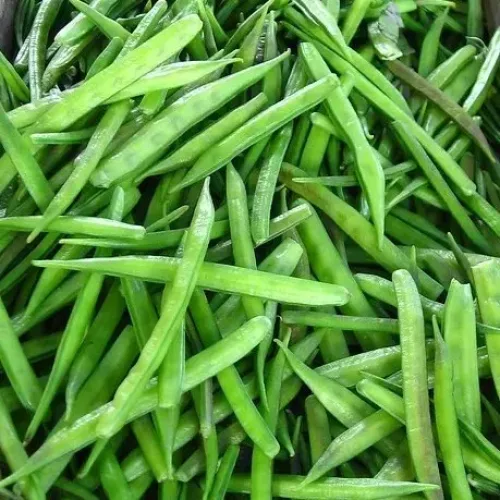 பலகிளை கொத்தவரை Cluster Beans (cluster-beans)