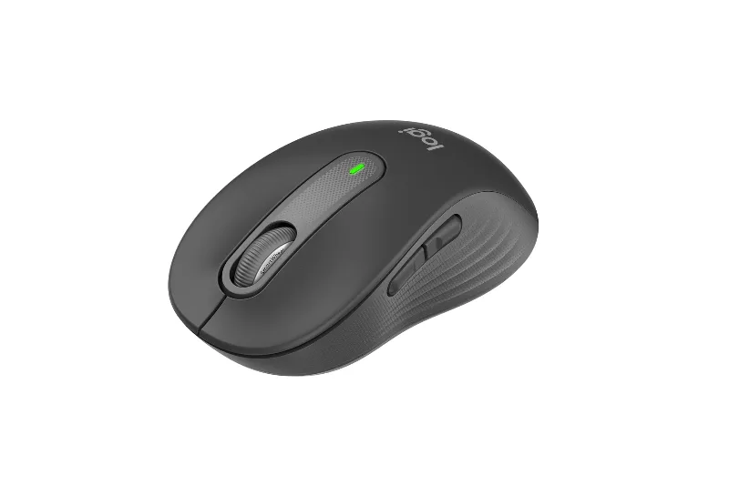 Mouse