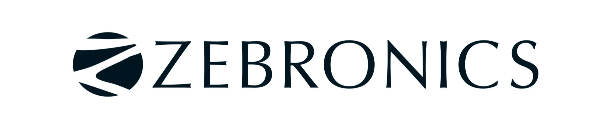 Zebronics 